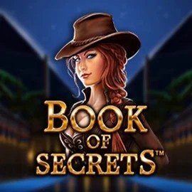 Try Book of Secrets slot by SYNOT Games on ninlay.eu – logo image