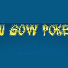 Play Pai Gow Poker slot by Rival on ninlay.eu